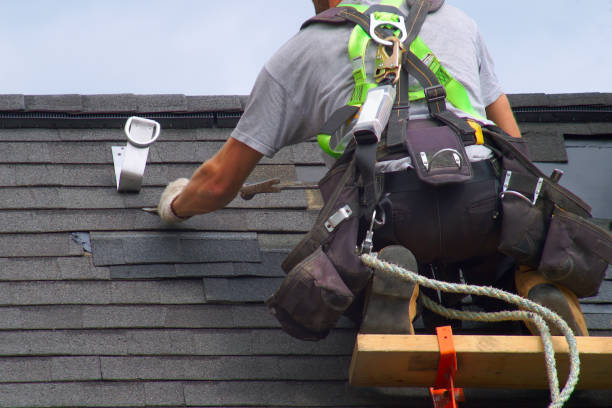 Best Best Roofing Contractors  in Wabasso, FL