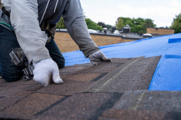 Best Shingle Roofing Installation  in Wabasso, FL