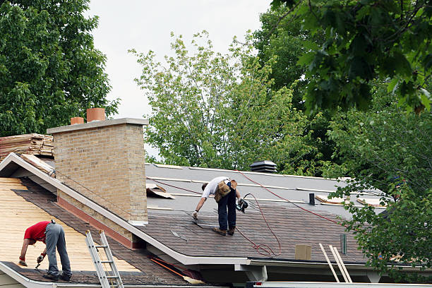 Best Roof Gutter Cleaning  in Wabasso, FL