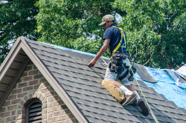 Best Local Roofing Companies  in Wabasso, FL
